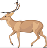 Free Cartoon Deer Clipart Image