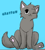 Warrior Cats Graypaw Image