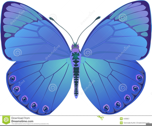 Royalty Free Butterfly Clipart Image