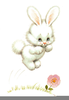 Cartoon Bunnies Clipart Image