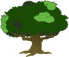 Tree Image