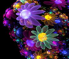 Flowers Image