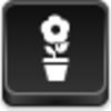 Pot Flower Icon Image