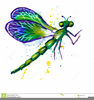 Free Clipart Images Dragonflies Image