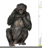 Evil Monkey Clipart Image