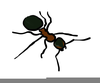 Ant Clipart Free Image