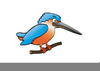 Kingfisher Clipart Image