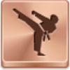 Karate Icon Image