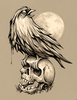 Zombie Bird Drawing Image