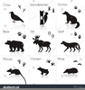 Hoofprint Clipart Image