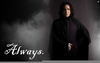 Snape Always Image