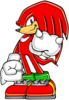 Advance Knuckles Image