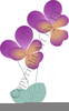 Free Pansy Clipart Image