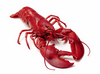 Boiled Lobster Image