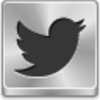 Twitter Bird Icon Image