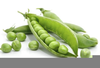 Snap Peas Clipart Image