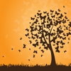 991 Image
