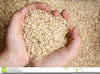 Feed The Hungry Clipart Image