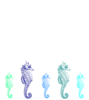 Seahorse Border Clip Art