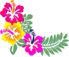 Hibiscus Corner Clip Art