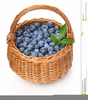 Gift Basket Clipart Image Image