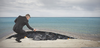 Effects Marine Pollution Image