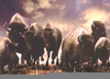 Stampeding Buffalo Clipart Image