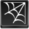 Spider Web Icon Image