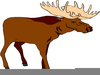 Bull Clipart Image