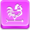 Weathercock Icon Image