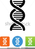 Dna Clipart Images Image