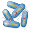 Bacteria 15 Image