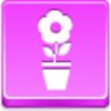 Pot Flower Icon Image