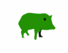 Green Javelina Logo Clip Art