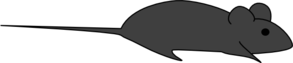 Dark Grey Lab Mouse Clip Art