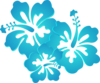 Hibiscus Clip Art