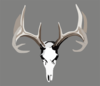 Antlers Clip Art