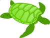 Save Our Turtle Clip Art