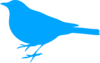 Bird Blue Beak Clip Art