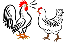Hen And Rooster  Clip Art