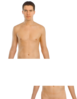 Human Body Anatomy Basics Clip Art