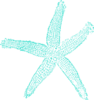 Star Fish Aqua 40e0d0 Clip Art