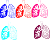 Lung Color Tika Hp Due Clip Art