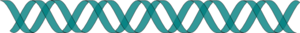Horizontal Double Helix Green Clip Art