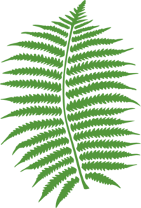 Fern Frond Clip Art