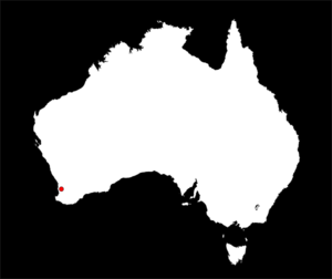 Australia Map Clip Art