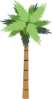 Tree Clip Art