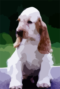 Aj Wks Old Clip Art
