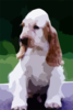Aj Wks Old Clip Art