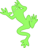 Amphibian Clip Art